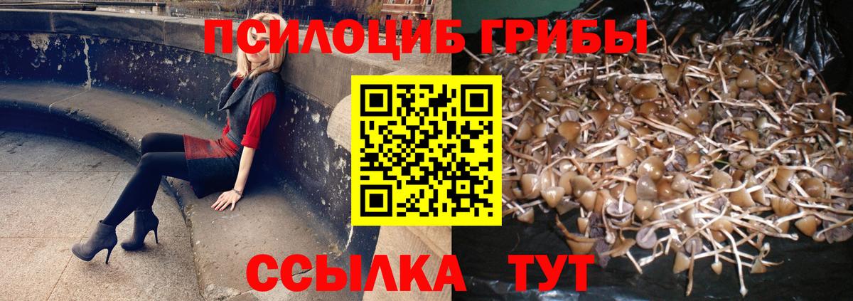 Псилоцибиновые грибы GOLDEN TEACHER Нижнекамск