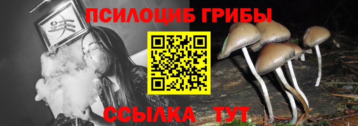 Галлюциногенные грибы Cubensis  Вход с VPN  Галлюциногенные грибы мухоморы  Нижнекамск 